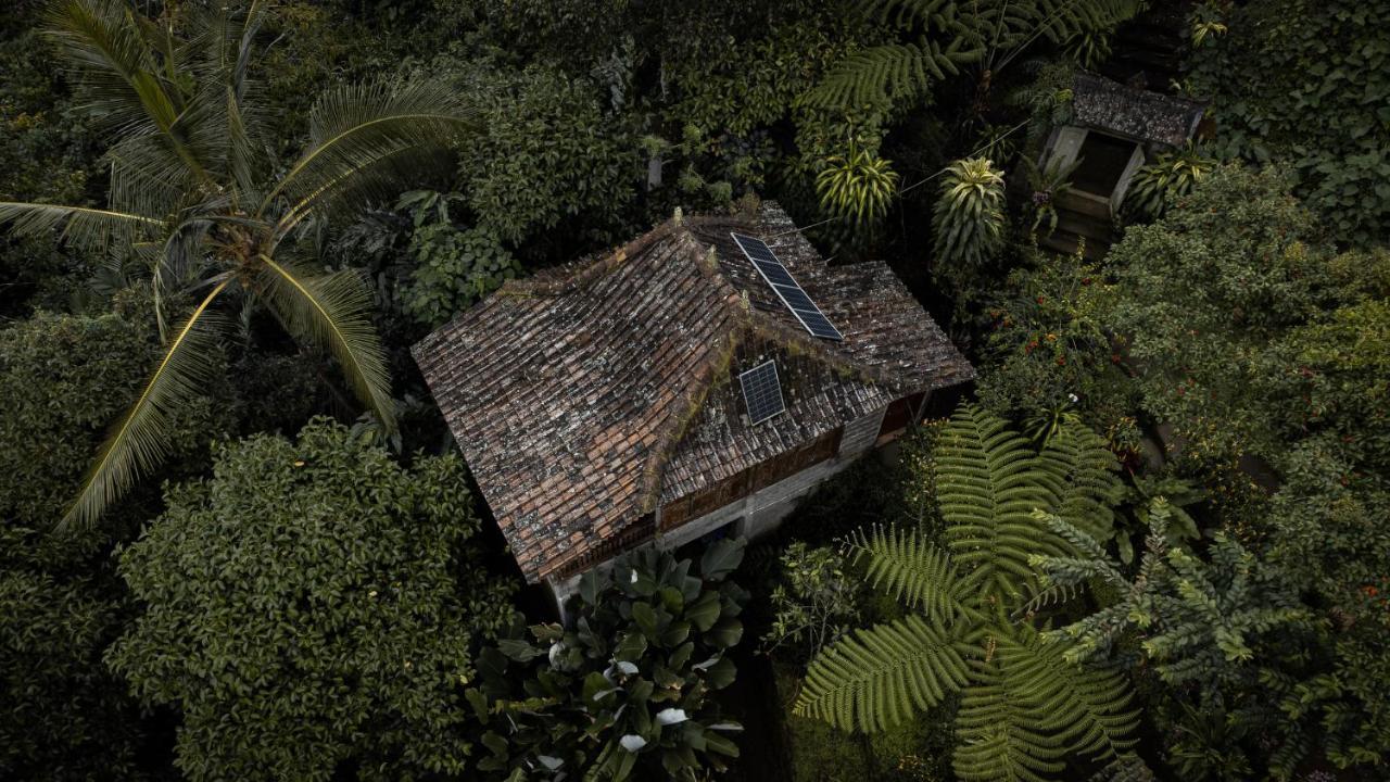 Kebun Kita Eco Lodge Padangan  Exterior photo